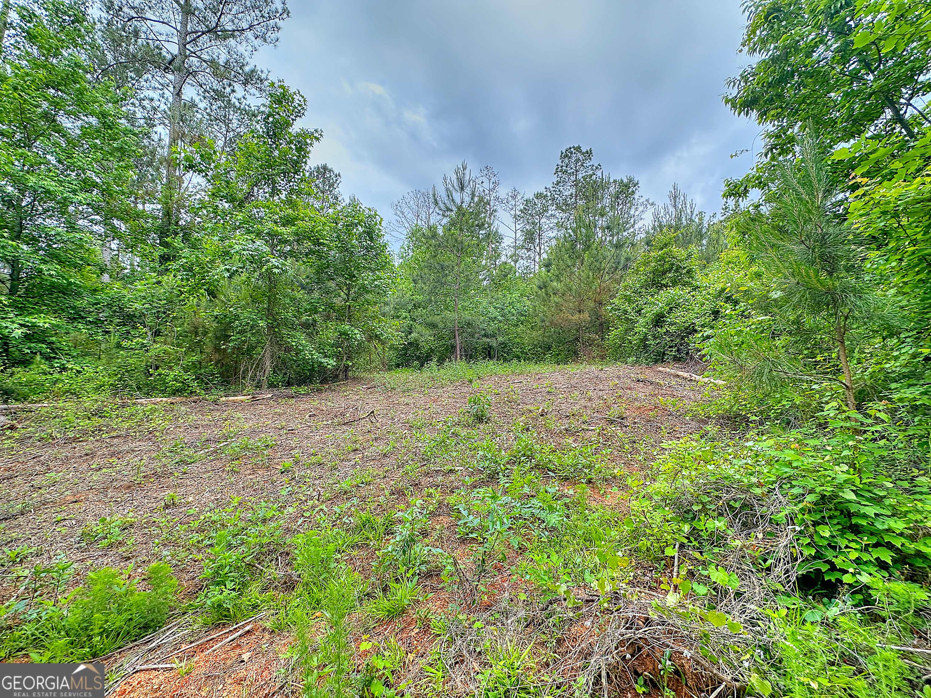 0 Rollin Mill, Unit TRACT 6 Franklin, GA 30217 - Photo 3 of 19 a view of a yard with a tree