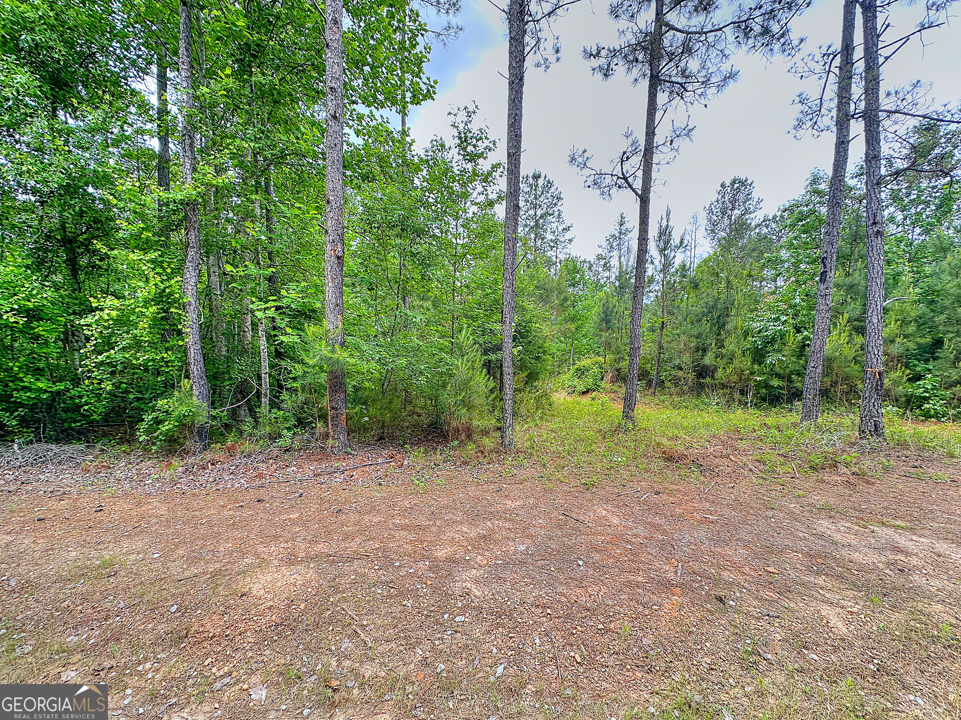 0 Rollin Mill, Unit TRACT 6 Franklin, GA 30217 - Photo 4 of 19 a view of a out door space