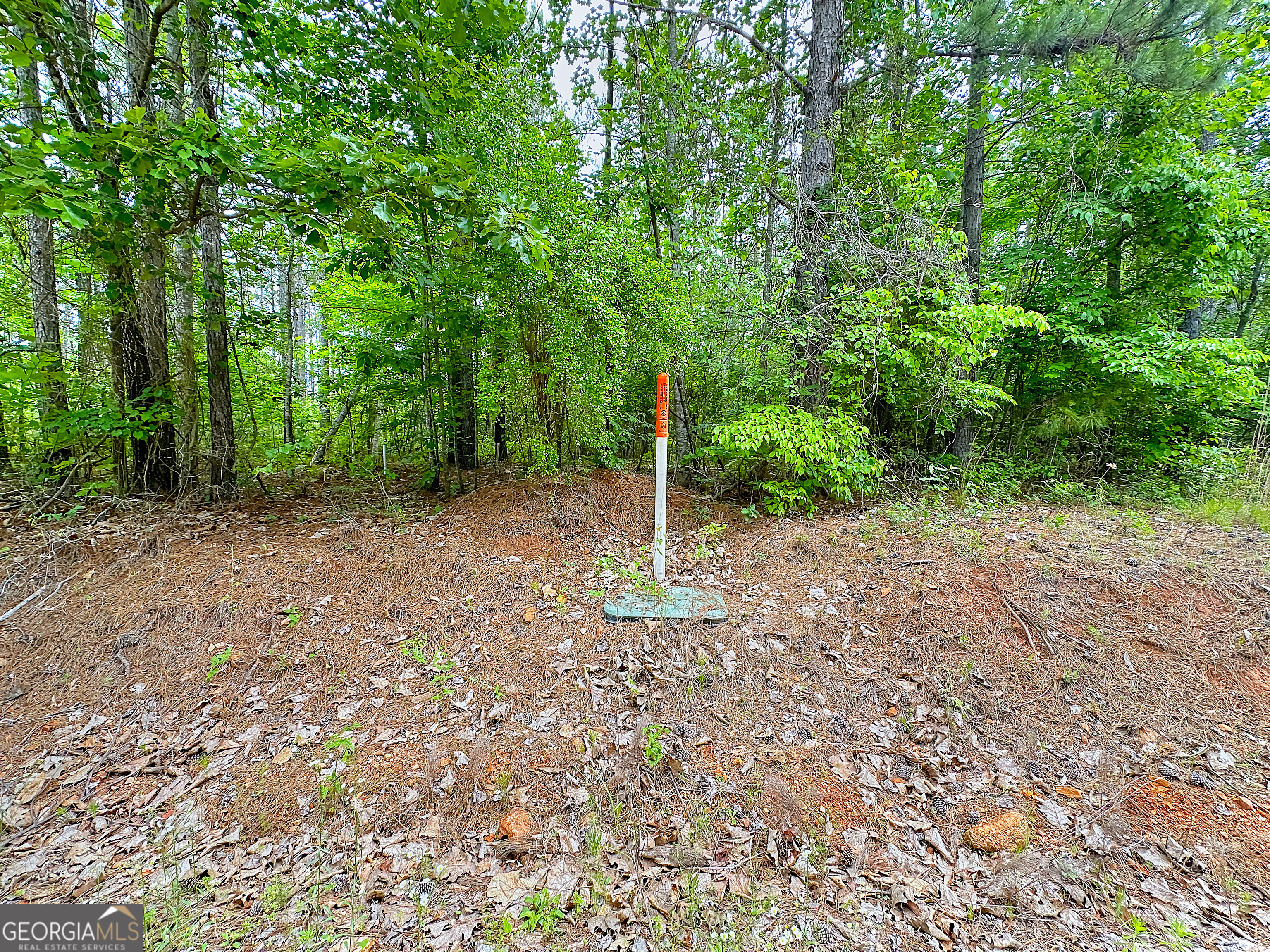 0 Rollin Mill, Unit TRACT 6 Franklin, GA 30217 - Photo 5 of 19 a view of a forest with trees in the background