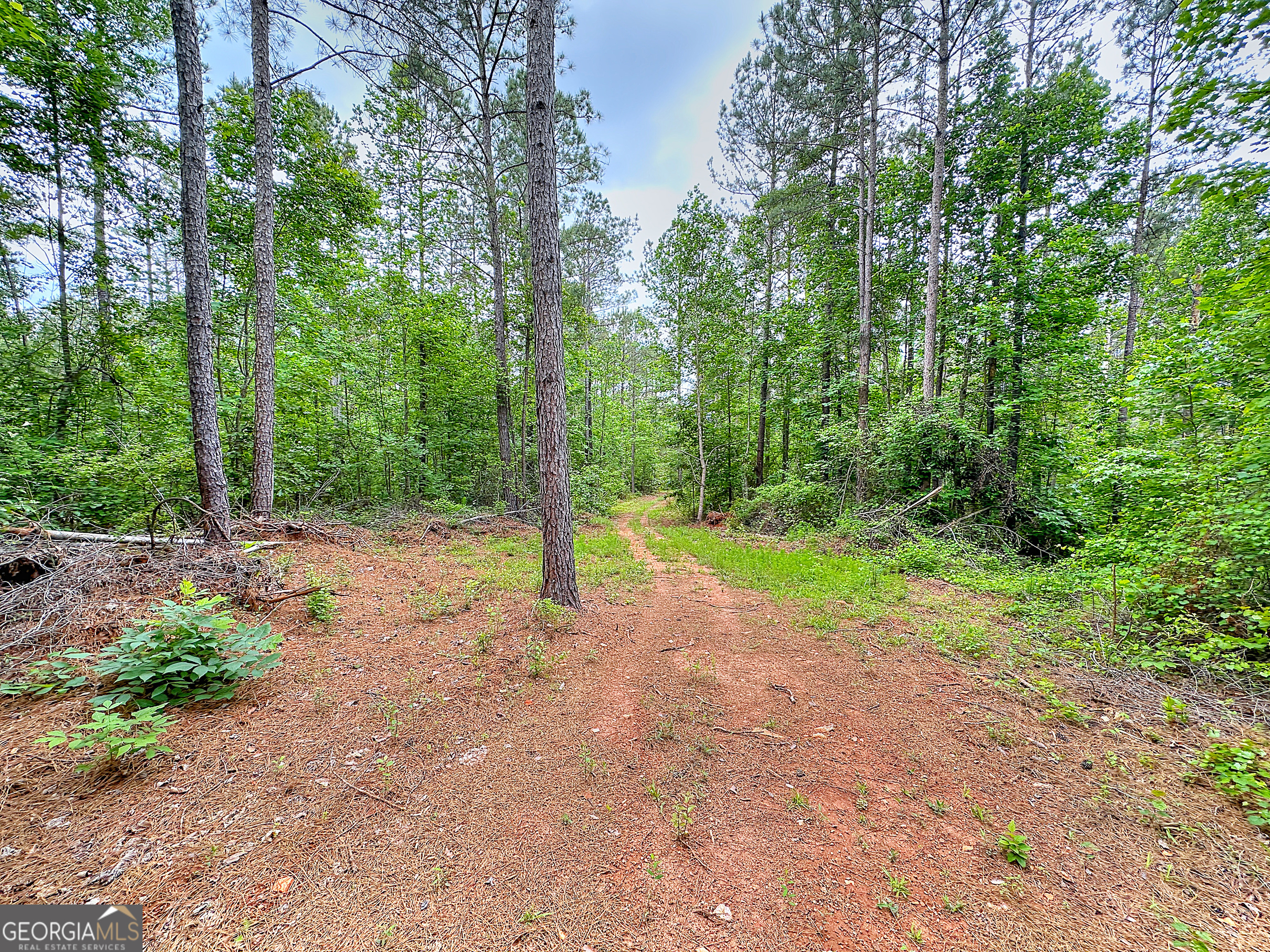 0 Rollin Mill, Unit TRACT 6 Franklin, GA 30217 - Photo 6 of 19 a view of a yard with trees