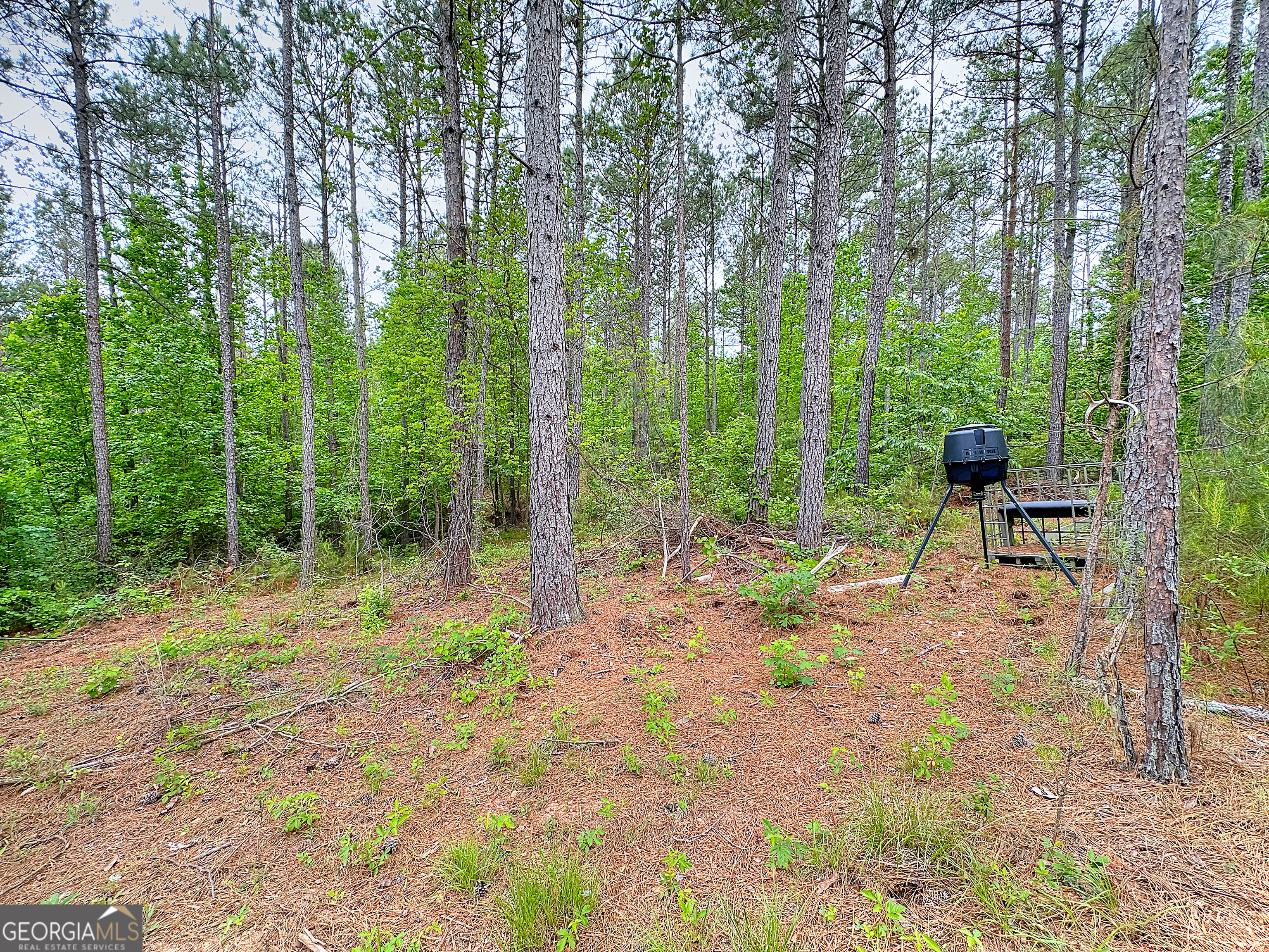 0 Rollin Mill, Unit TRACT 6 Franklin, GA 30217 - Photo 7 of 19 a view of backyard with trees