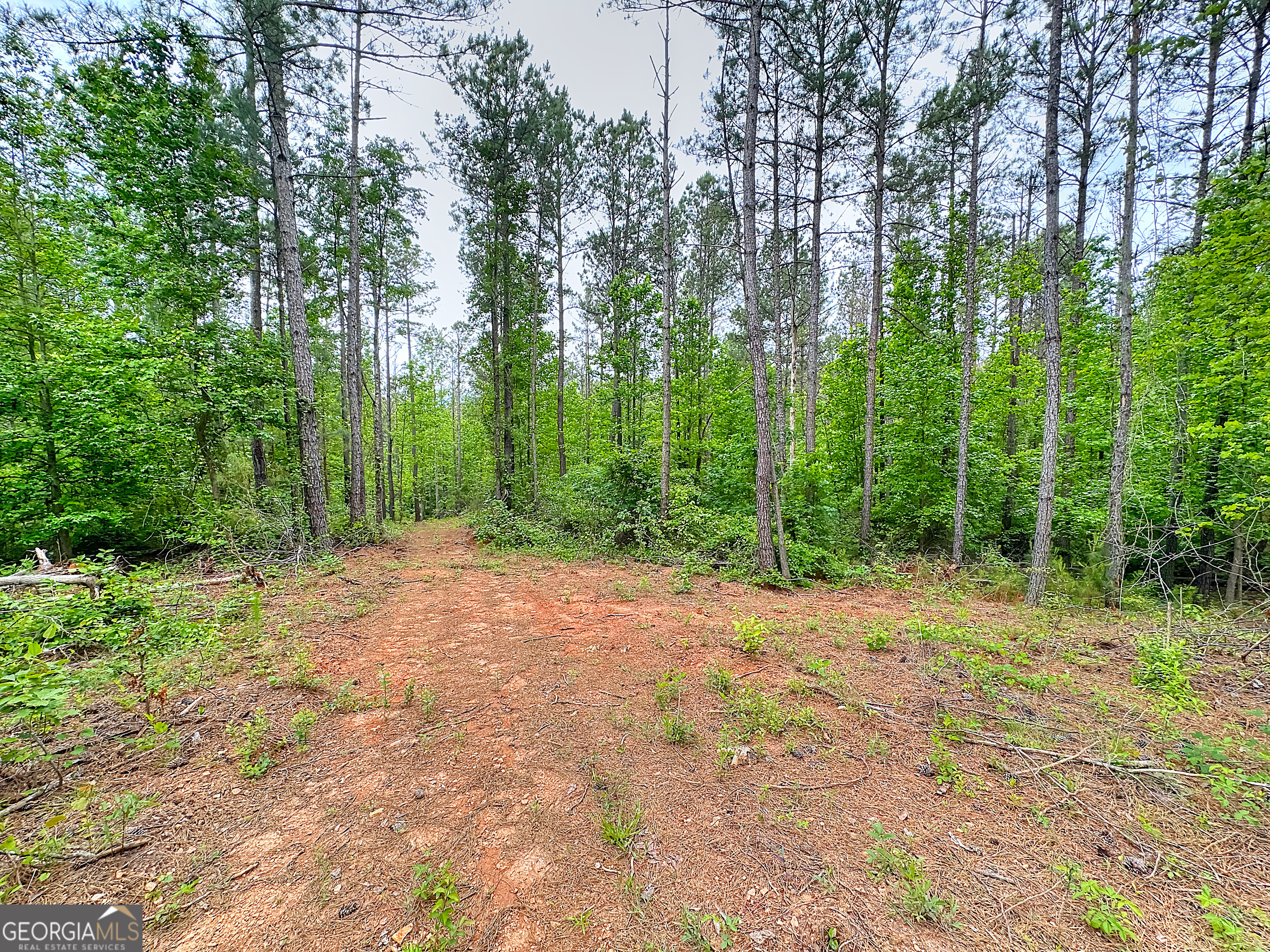 0 Rollin Mill, Unit TRACT 6 Franklin, GA 30217 - Photo 8 of 19 a view of a yard with trees in the background