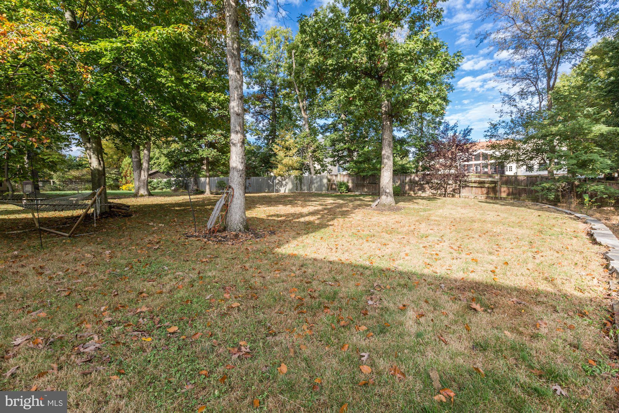 10012 Hall Road Potomac, MD 20854 - Photo 28 of 28 View of Backyard