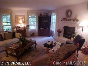 100 Chestnut Cove Road Brevard, NC 28712 - Photo 3 of 9 Gallery Image 3