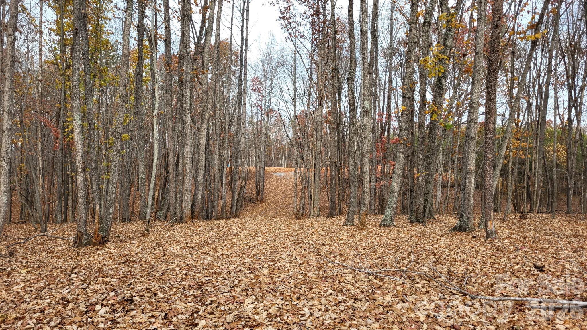a view of wooden fence