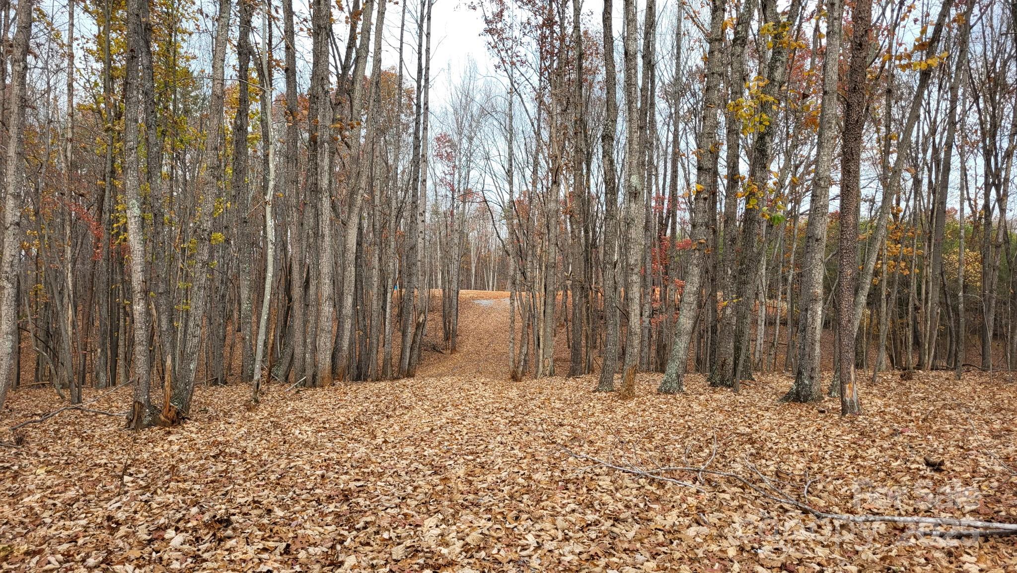 a view of wooden fence