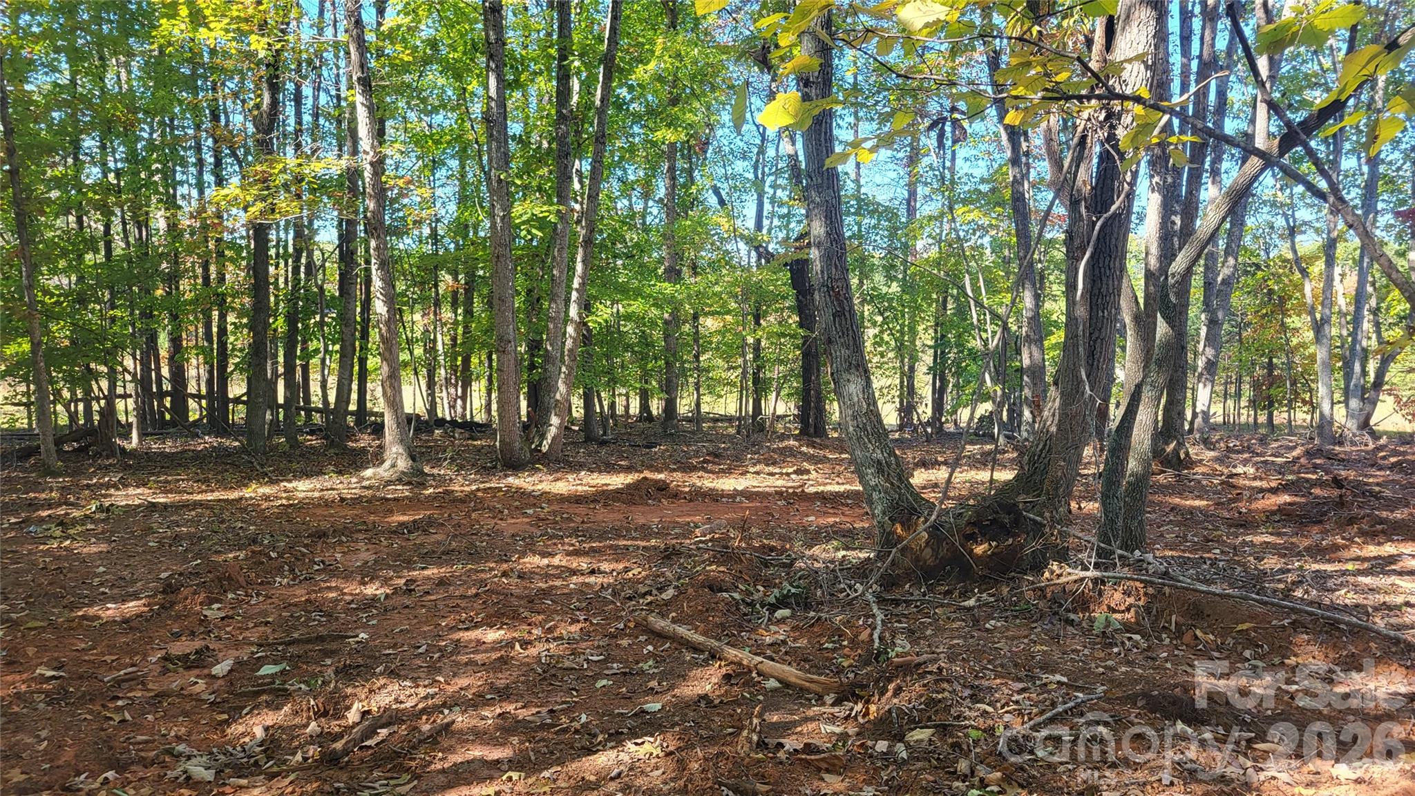 1056 Stephens Trail Road Sandy Ridge, NC 27046 - Photo 12 of 14 a view of backyard with green space