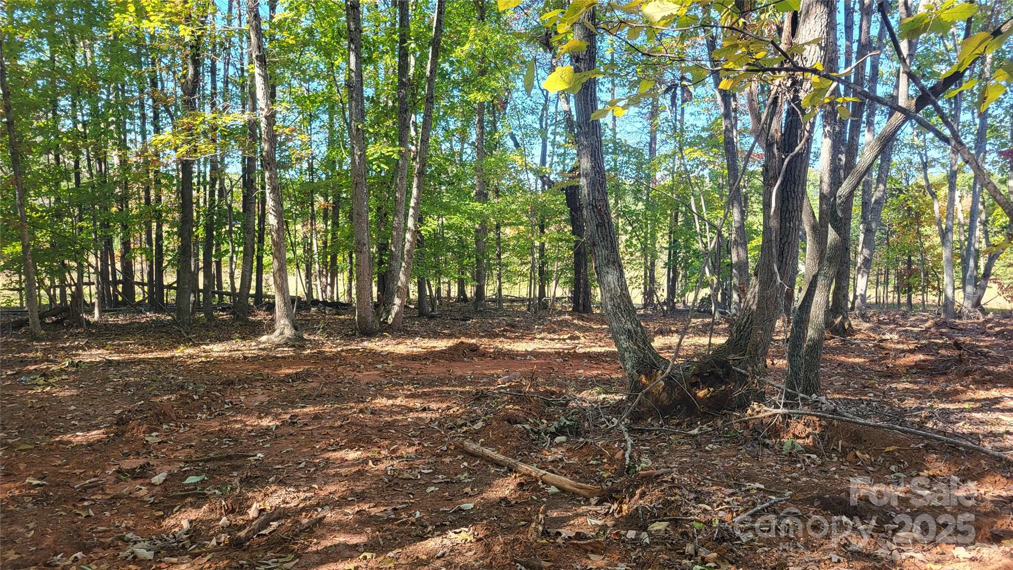 1056 Stephens Trail Road Sandy Ridge, NC 27046 - Photo 12 of 14 a view of outdoor space with deck and trees