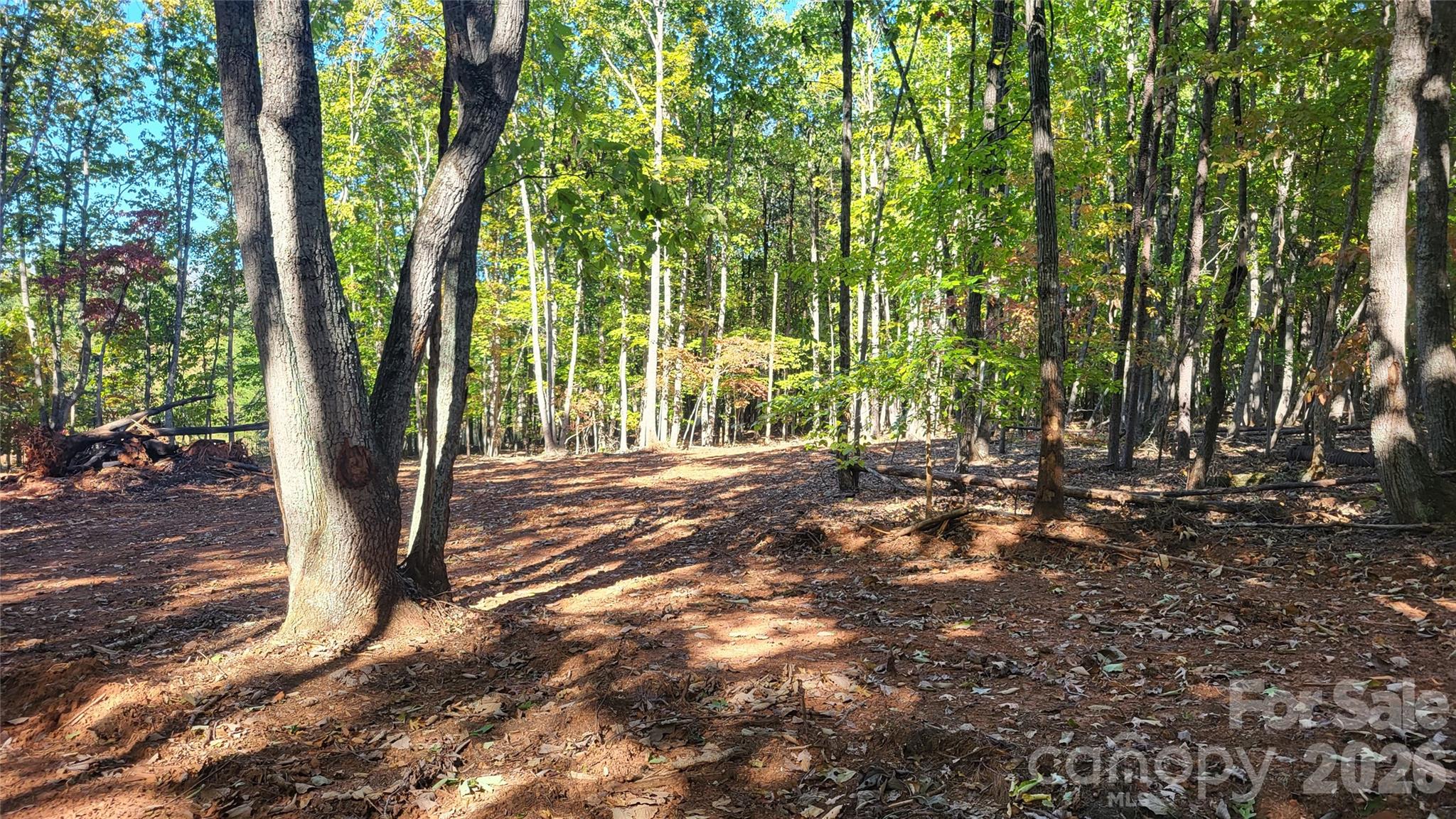 1056 Stephens Trail Road Sandy Ridge, NC 27046 - Photo 13 of 14 a view of outdoor space and yard
