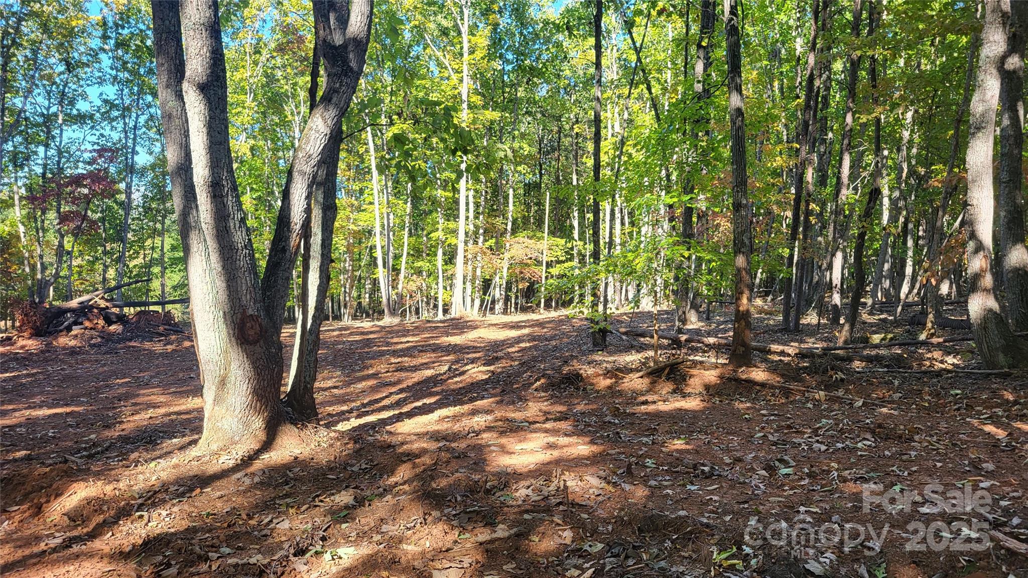 1056 Stephens Trail Road Sandy Ridge, NC 27046 - Photo 13 of 14 a view of outdoor space and yard