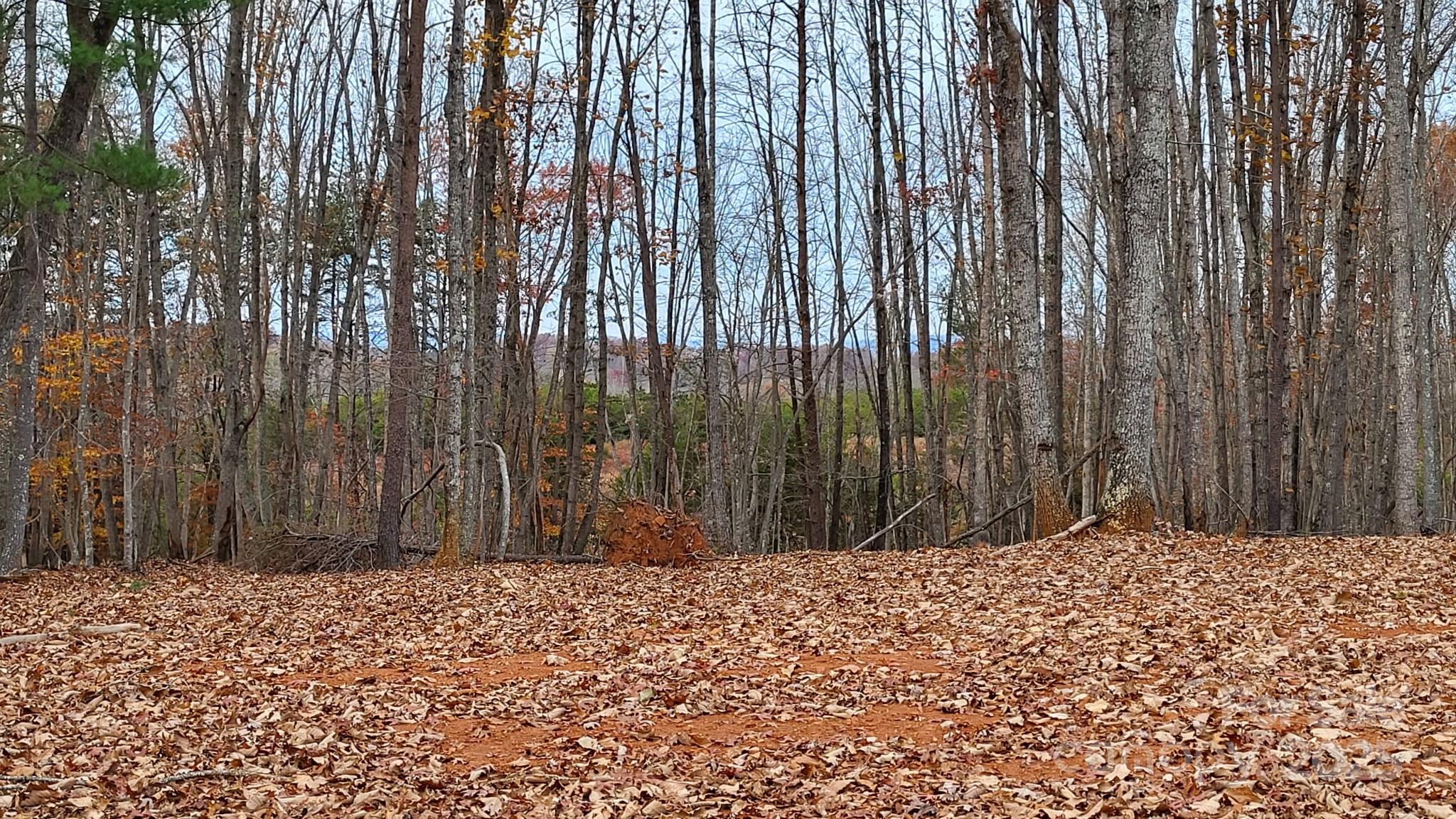1056 Stephens Trail Road Sandy Ridge, NC 27046 - Photo 2 of 14 a view of wooden fence