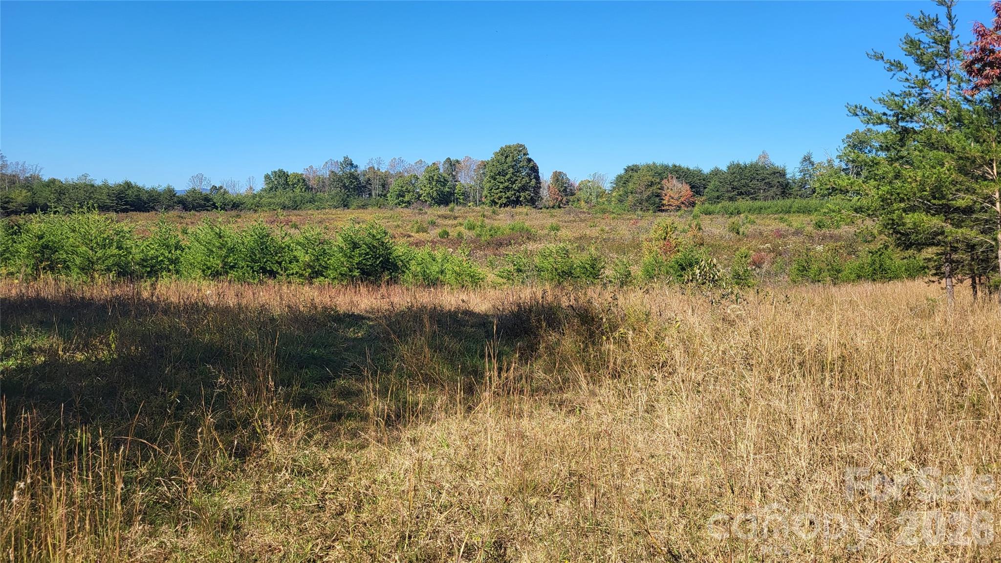 1056 Stephens Trail Road Sandy Ridge, NC 27046 - Photo 2 of 14 a view of a lake with trees by side of it