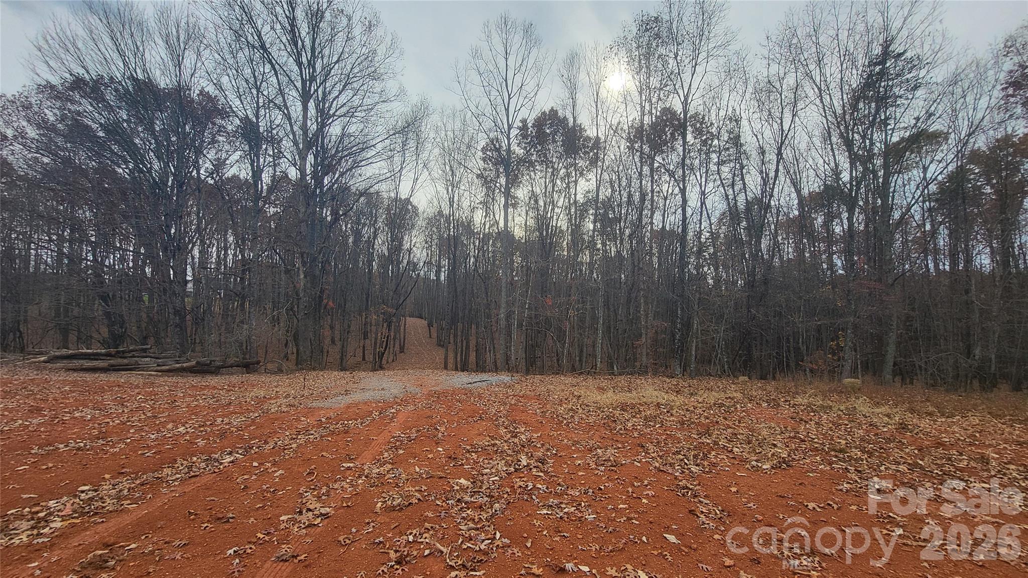 1056 Stephens Trail Road Sandy Ridge, NC 27046 - Photo 3 of 14 a view of outdoor space with trees