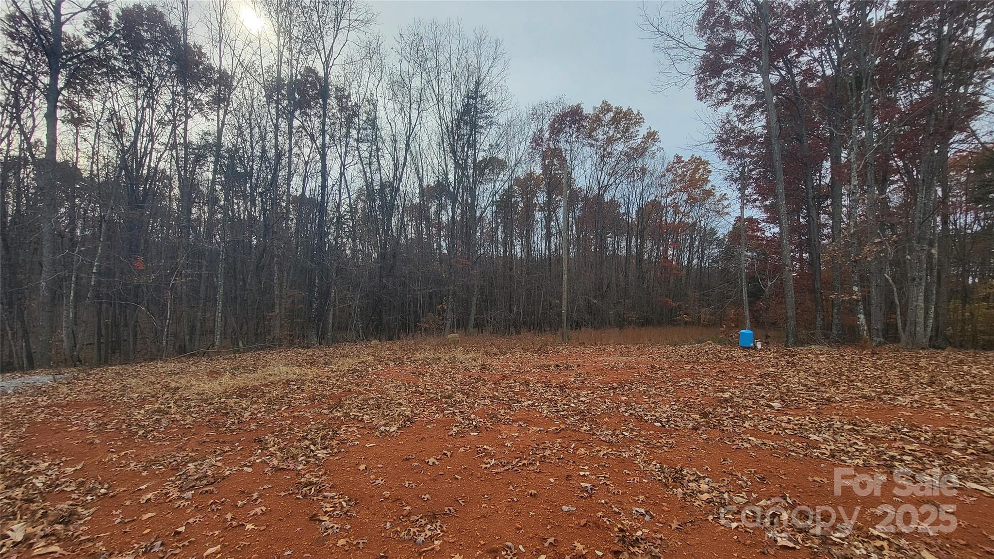 1056 Stephens Trail Road Sandy Ridge, NC 27046 - Photo 4 of 14 a backyard of a house with trees