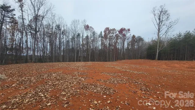 a backyard of a house with trees