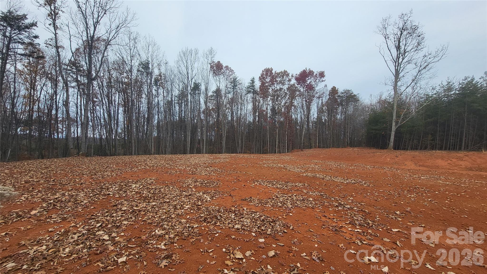 1056 Stephens Trail Road Sandy Ridge, NC 27046 - Photo 4 of 14 a backyard of a house with trees