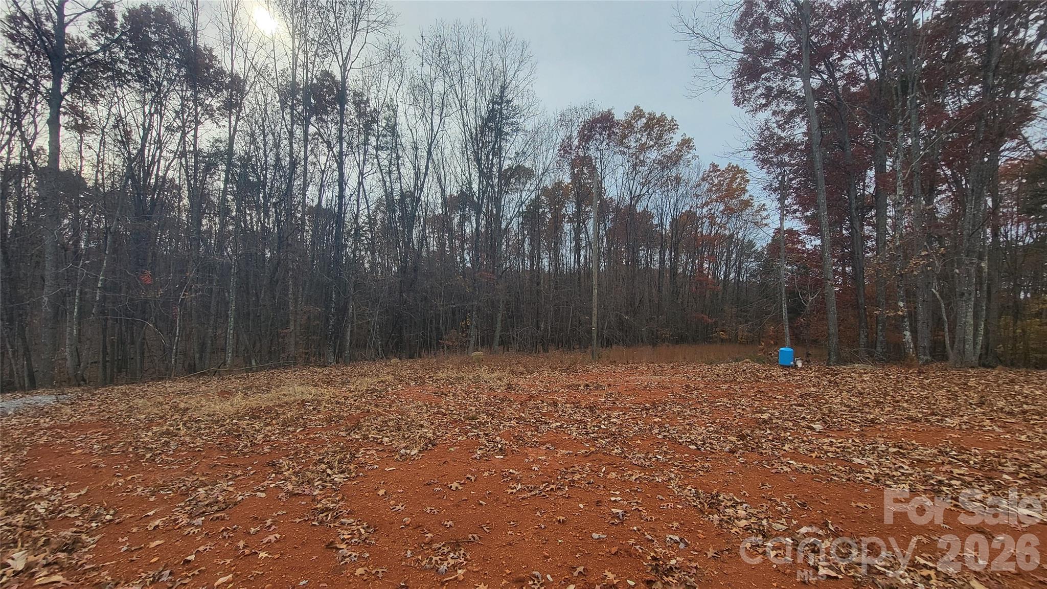 1056 Stephens Trail Road Sandy Ridge, NC 27046 - Photo 4 of 14 a backyard of a house with trees