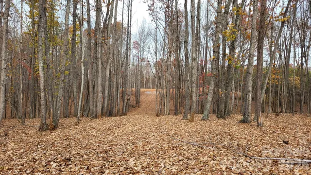 a view of wooden fence
