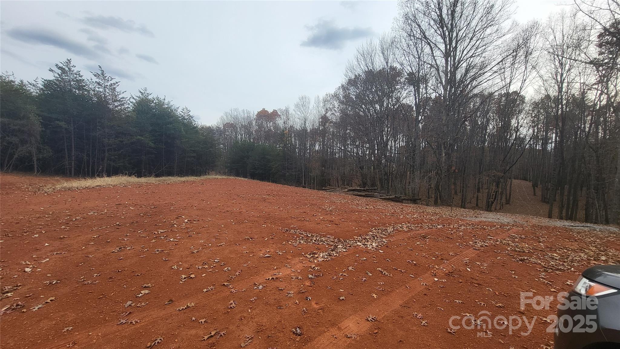 1056 Stephens Trail Road Sandy Ridge, NC 27046 - Photo 6 of 14 a backyard of a house with trees