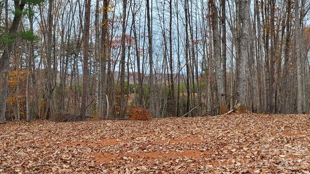 a view of wooden fence