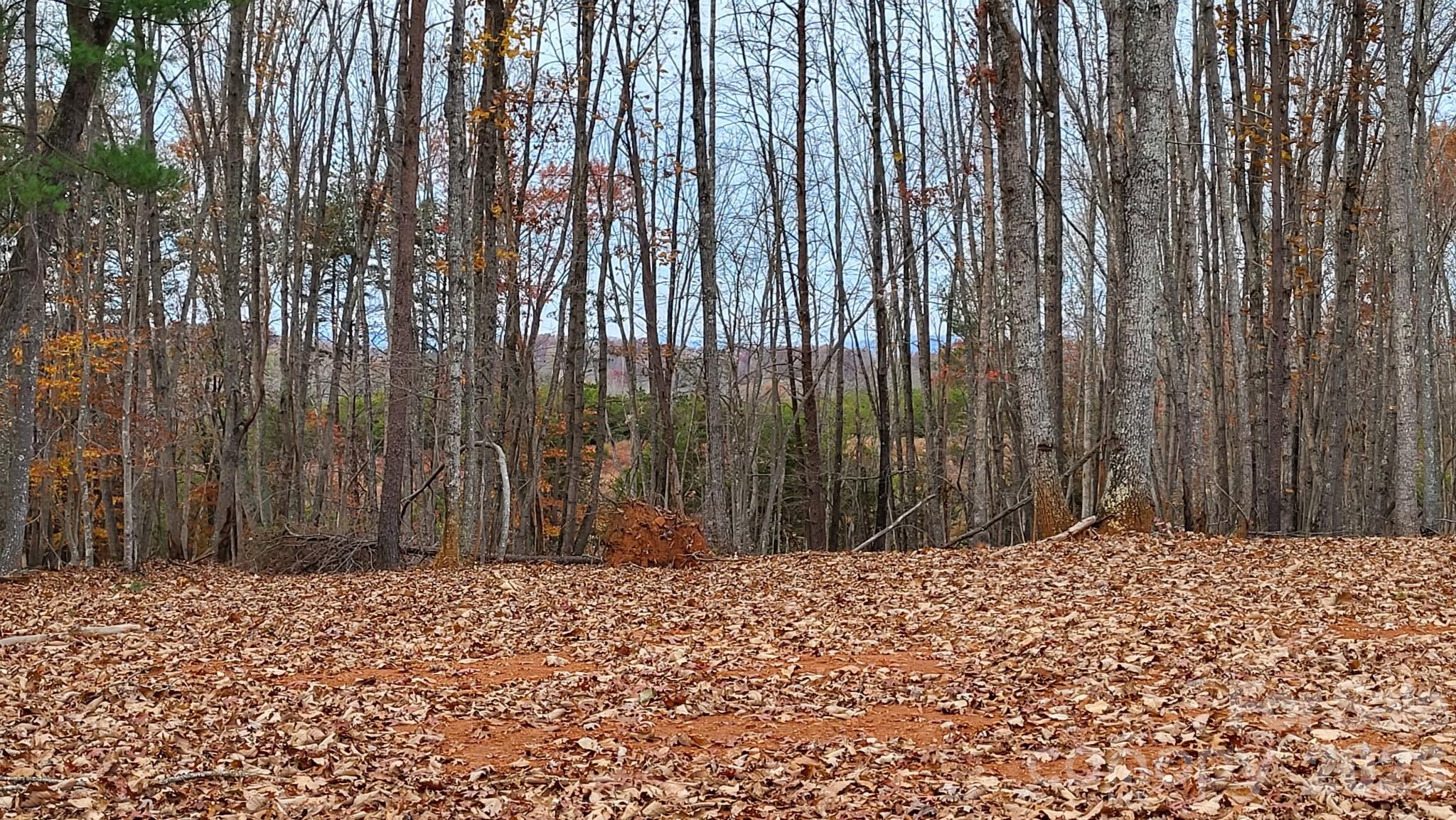 1056 Stephens Trail Road Sandy Ridge, NC 27046 - Photo 7 of 14 a view of wooden fence