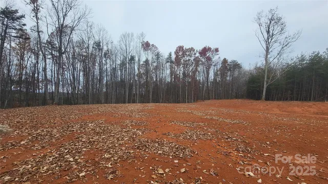 a backyard of a house with trees