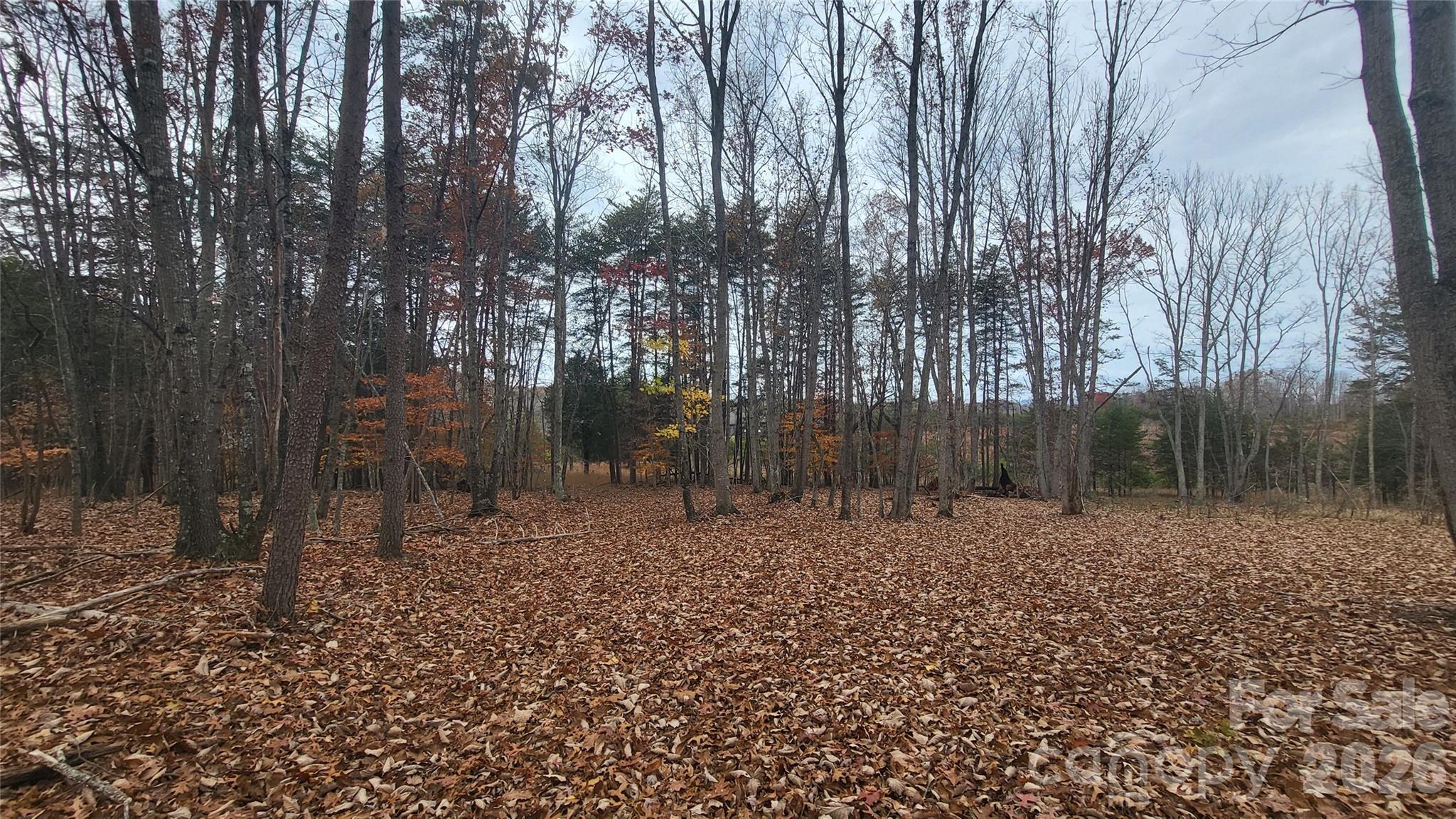 1056 Stephens Trail Road Sandy Ridge, NC 27046 - Photo 8 of 14 a backyard of a house with lots of green space