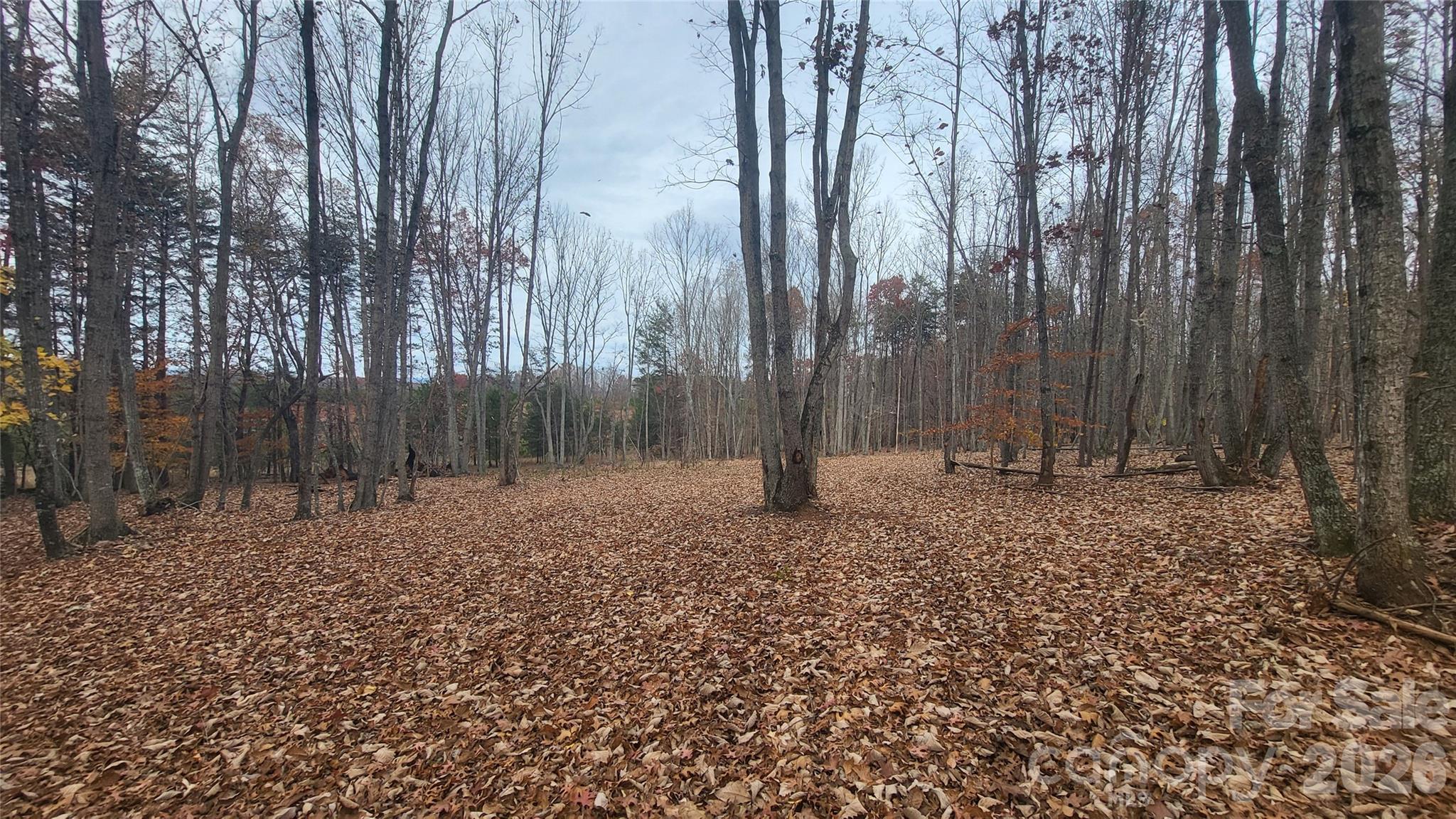 1056 Stephens Trail Road Sandy Ridge, NC 27046 - Photo 10 of 14 a backyard of a house with lots of green space