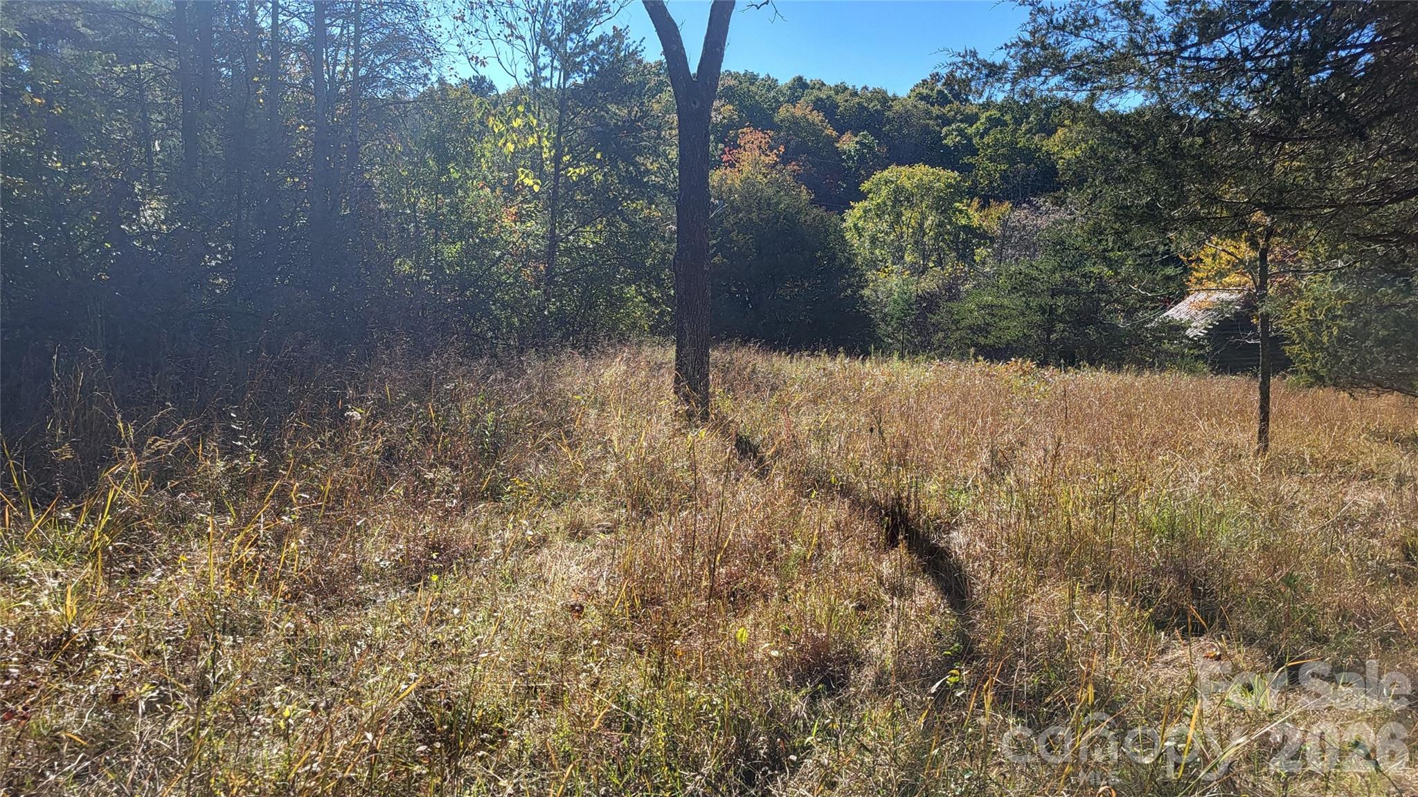 1056 Stephens Trail Road Sandy Ridge, NC 27046 - Photo 10 of 14 a view of a yard
