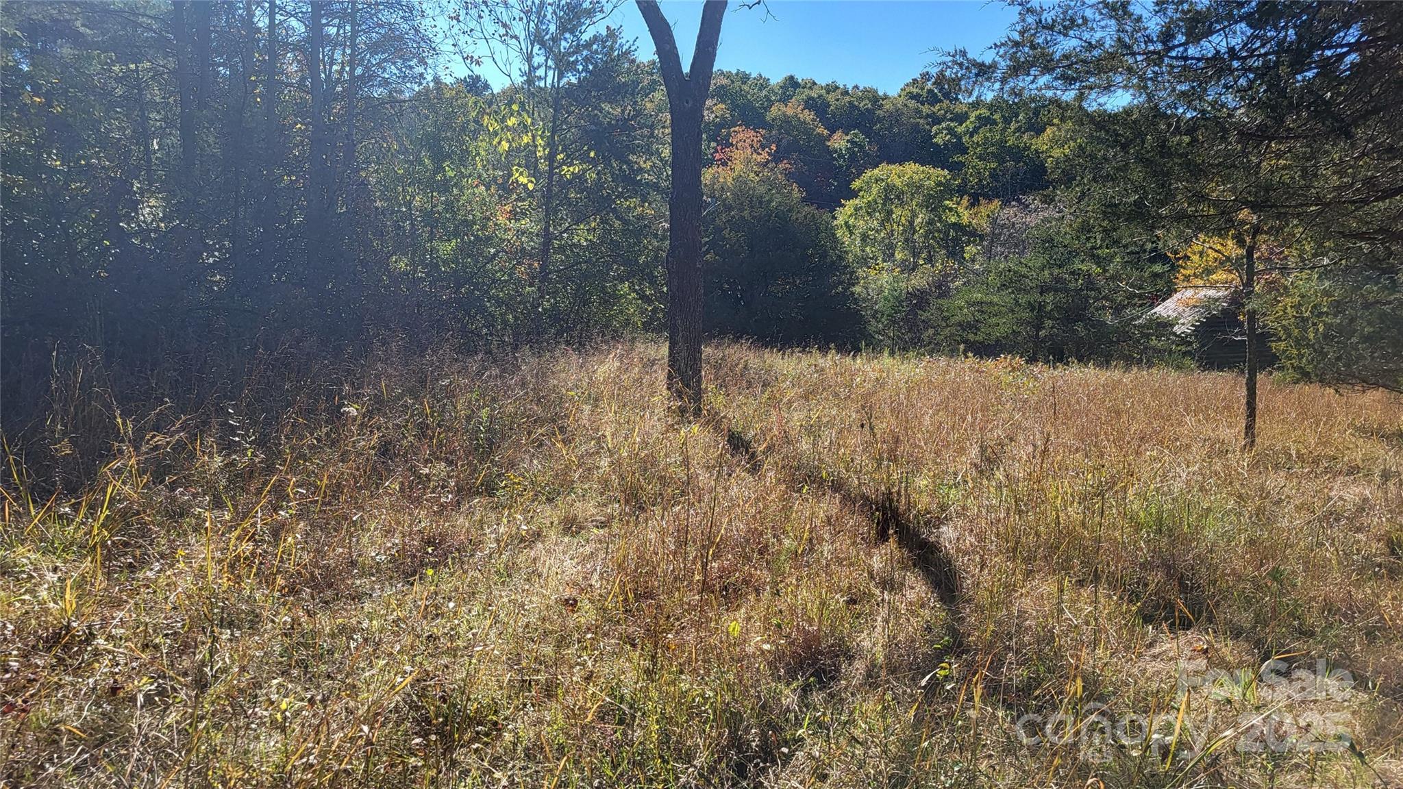 1056 Stephens Trail Road Sandy Ridge, NC 27046 - Photo 10 of 14 a view of a yard