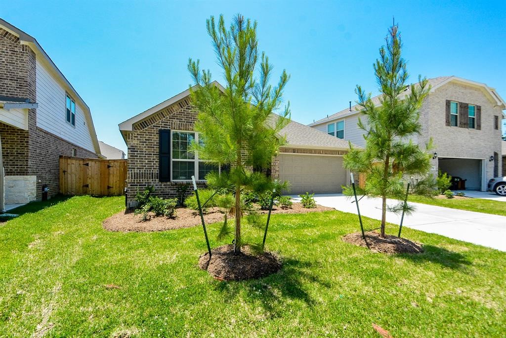 9731 Birdsnest Court Spring, TX 77379 - Photo 4 of 15