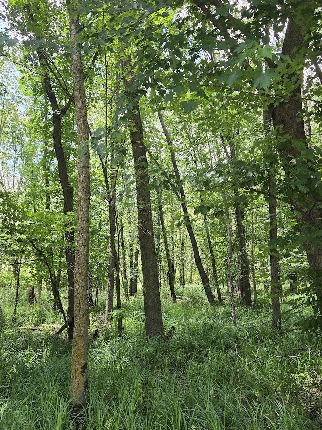 1 Tamarack Road Brillion, WI 54110 - Photo 18 of 18 Another view