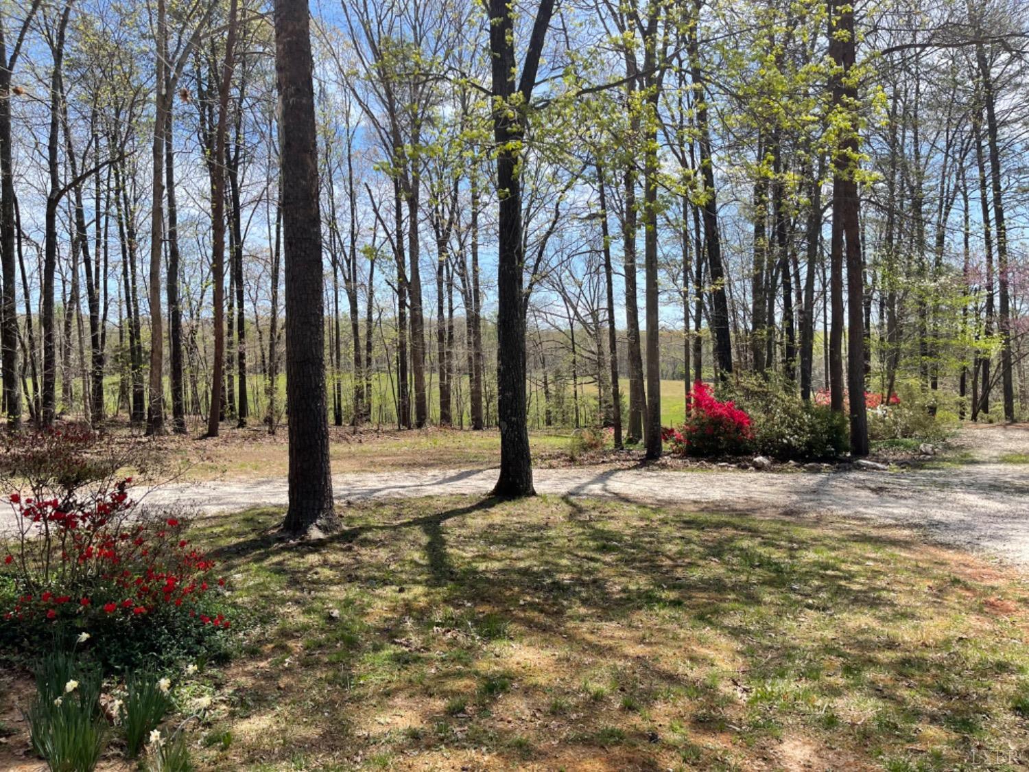 2355 Country Club Road Appomattox, VA 24522 - Photo 3 of 41