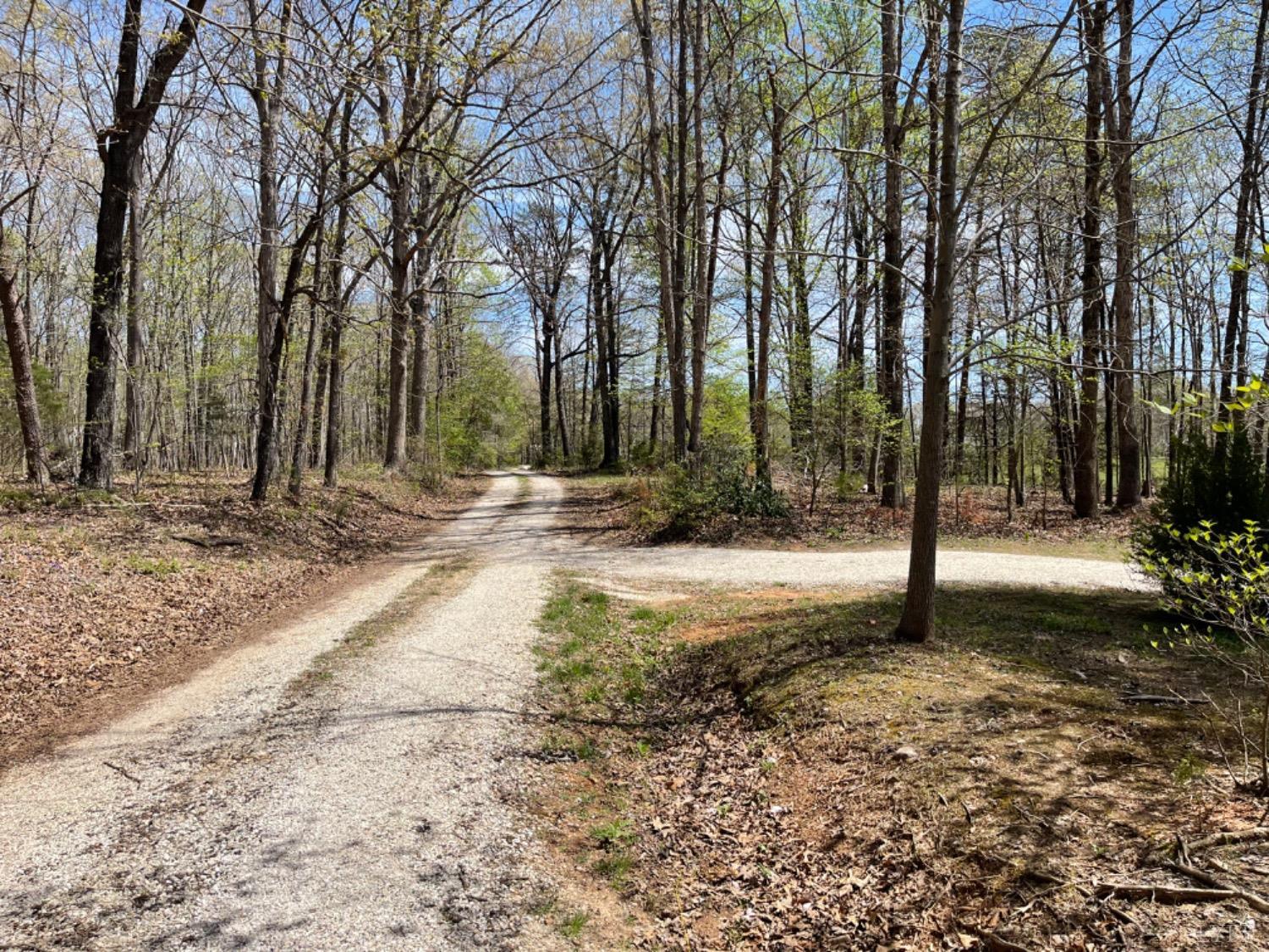2355 Country Club Road Appomattox, VA 24522 - Photo 4 of 41 a view of backyard space with trees