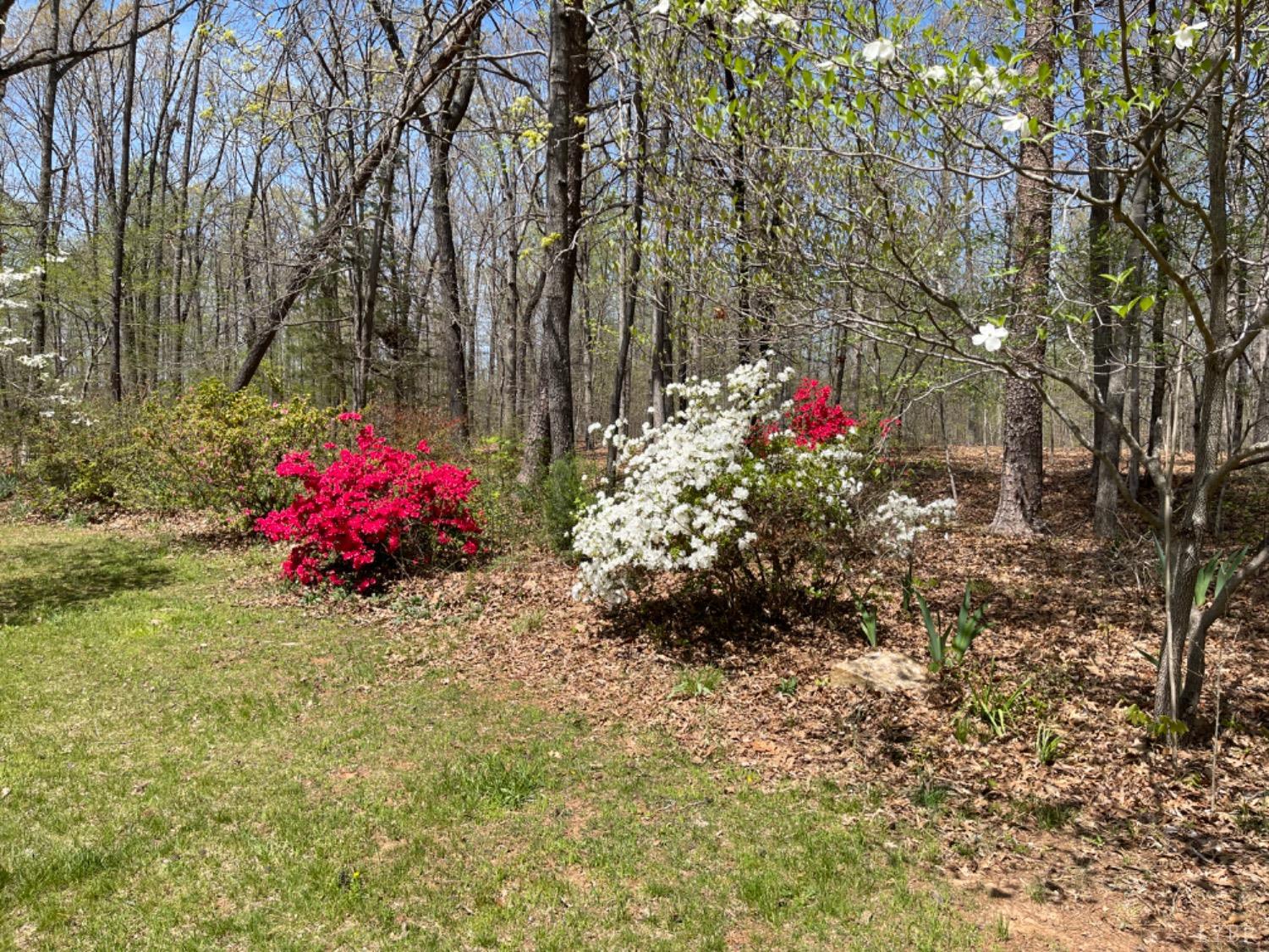 2355 Country Club Road Appomattox, VA 24522 - Photo 5 of 41 a front view of a house with a yard