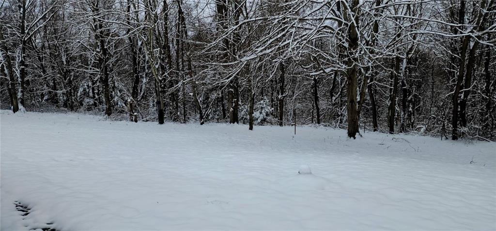 188 Laura Drive Clinton, PA 15026 - Photo 13 of 13 a view of outdoor space with trees