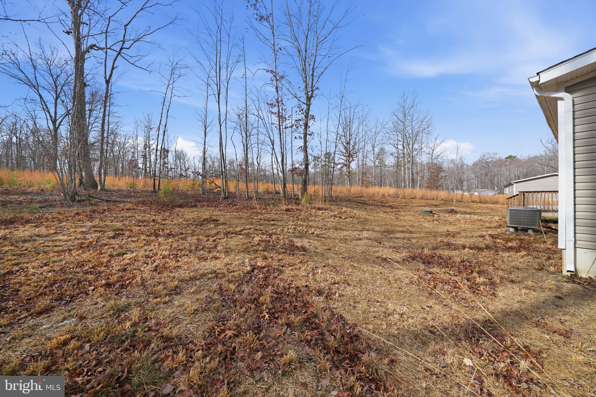 15075 Madison Run Road Gordonsville, VA 22942 - Photo 23 of 23 a view of a yard with large trees