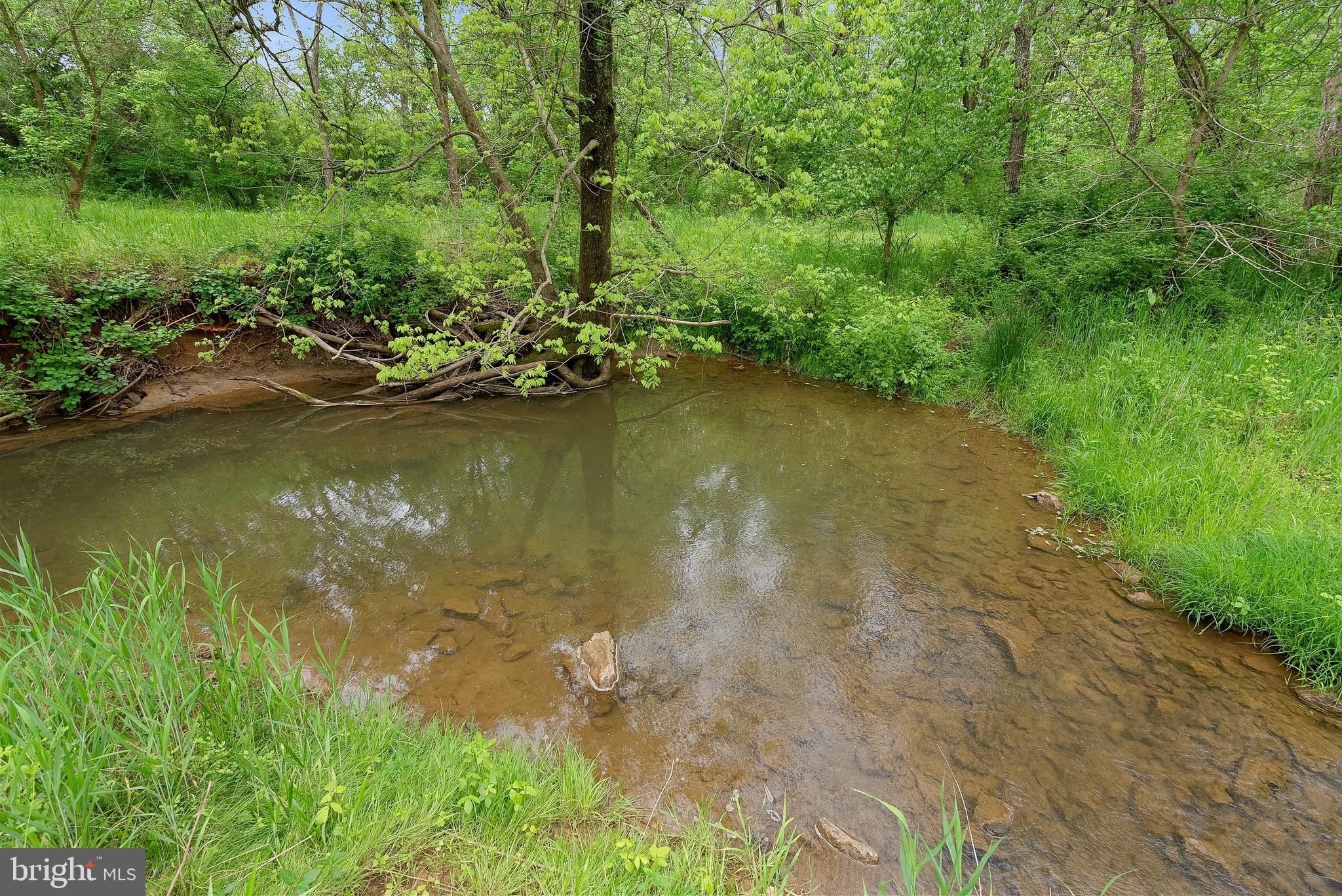 19281 Harmony Church Road Leesburg, VA 20175 - Photo 19 of 19