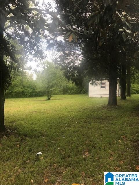 7170 Taylors Ferry Road Bessemer, AL 35023 - Photo 3 of 3