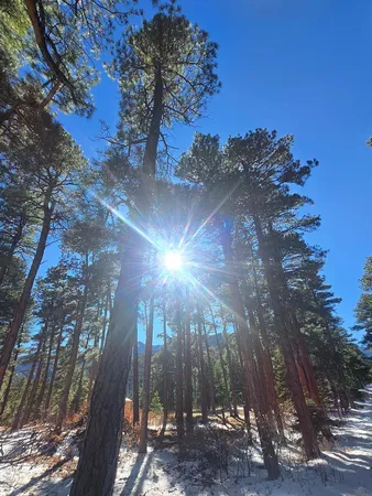 $104,900 | Tbd Zorn Road, Rye, CO 81069