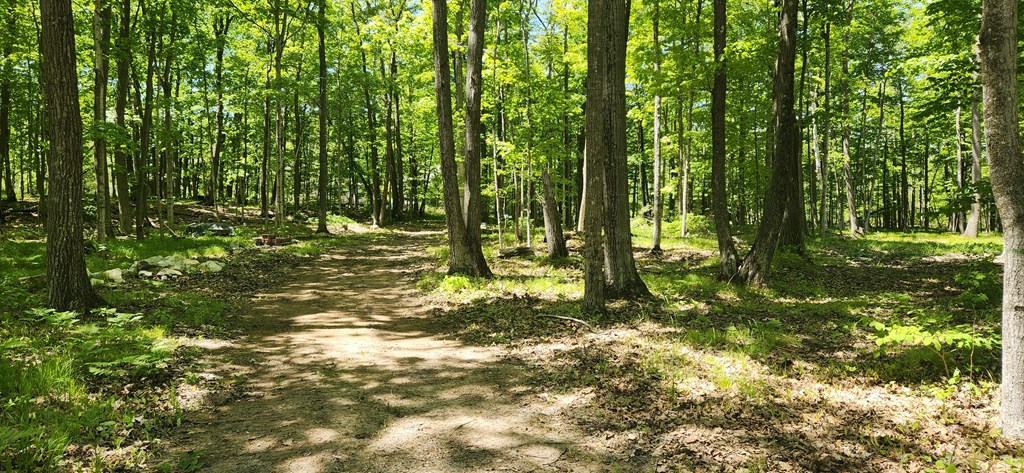 8113 Deer Ridge Baileys Harbor, WI 54202 - Photo 2 of 15