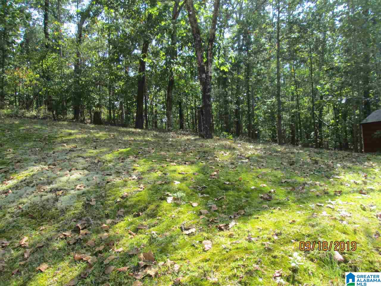 86 Red Valley Circle Remlap, AL 35133 - Photo 7 of 46