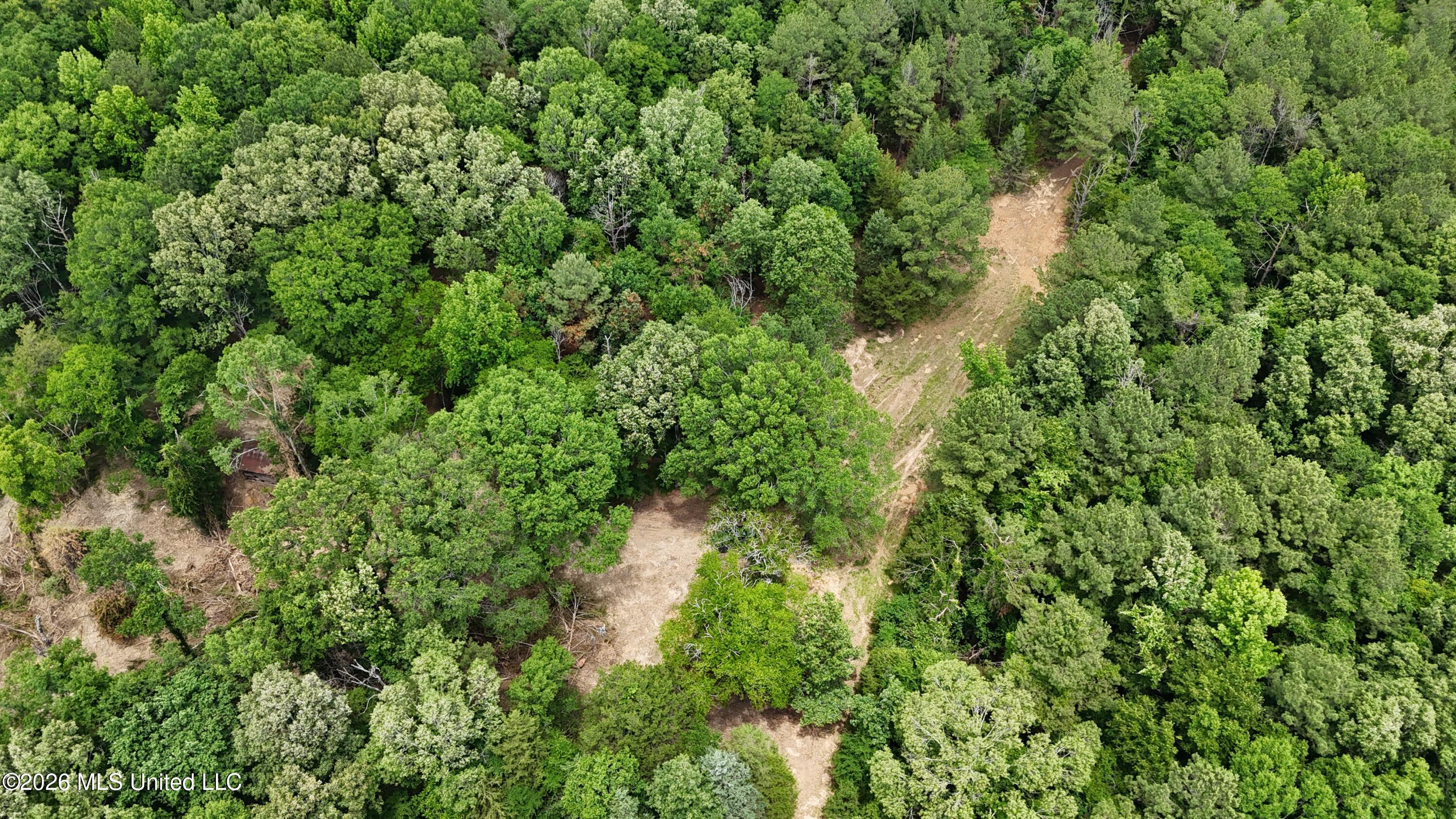 164 Potluck Road Canton, MS 39046 - Photo 5 of 25 dji_fly_20260519_124500_0805_17812852471