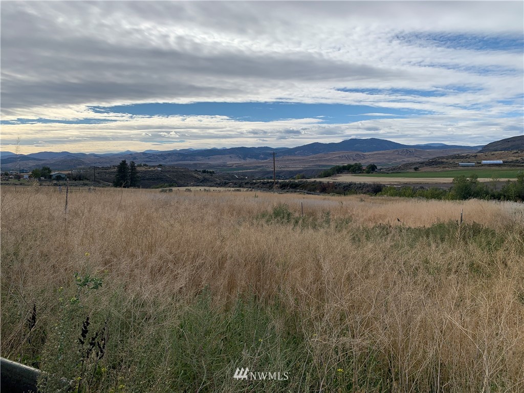 203 Havillah Road Tonasket, WA 98855 - Photo 27 of 31 Gallery Image 27