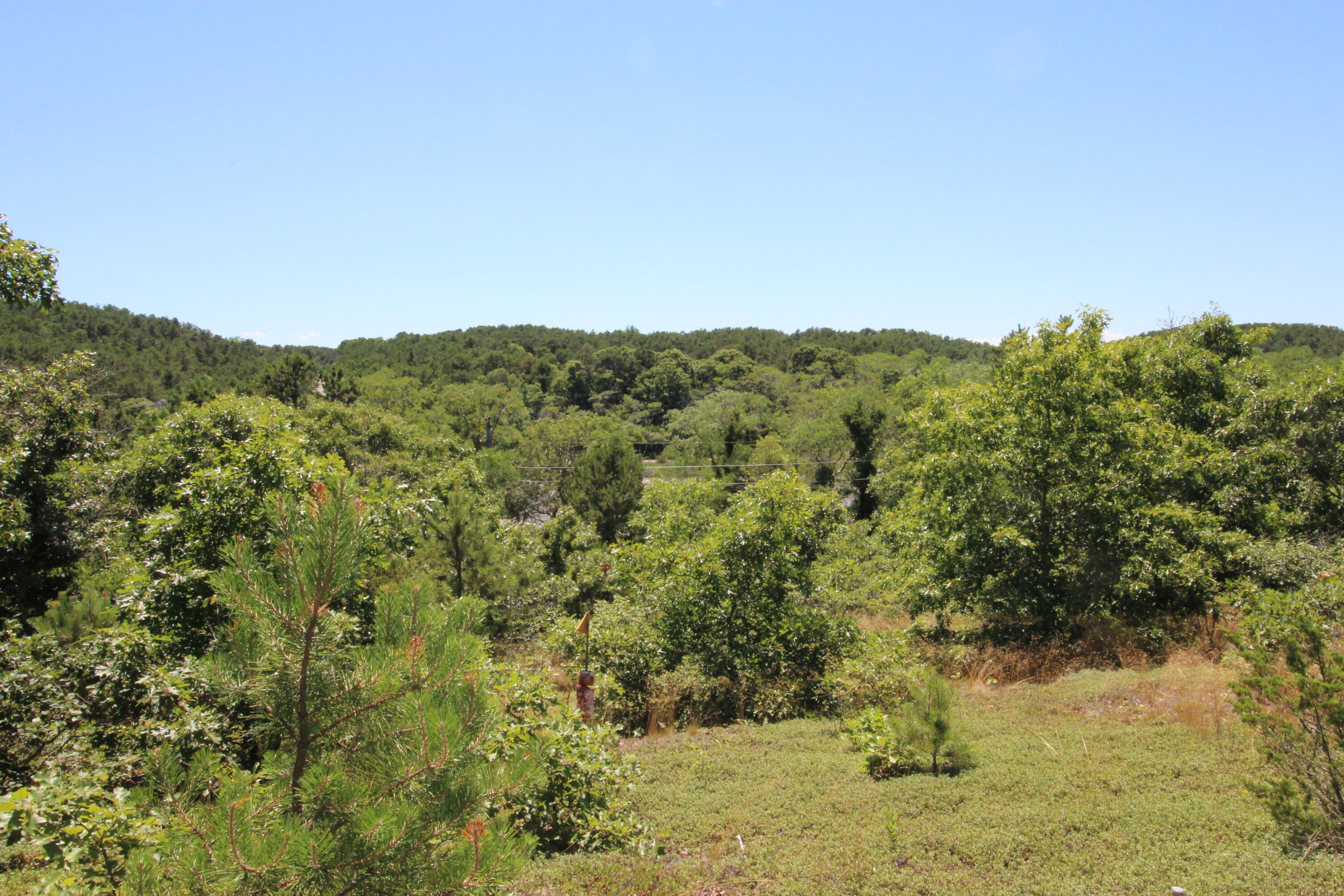 1 Mill Pond Road Truro, MA 02666 - Photo 4 of 5