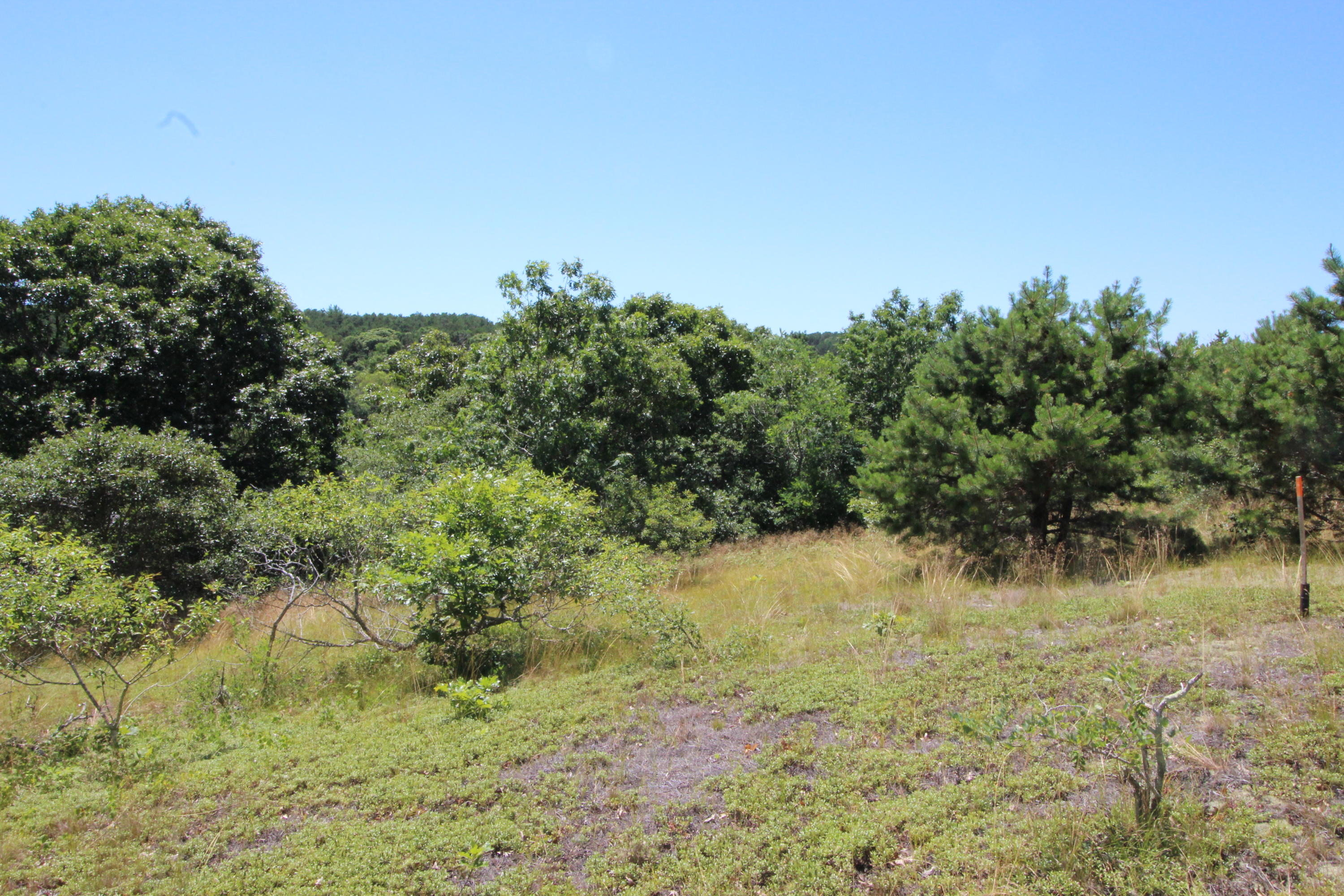 1 Mill Pond Road Truro, MA 02666 - Photo 5 of 5 a view of a yard