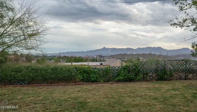 a view of a lake in middle of forest