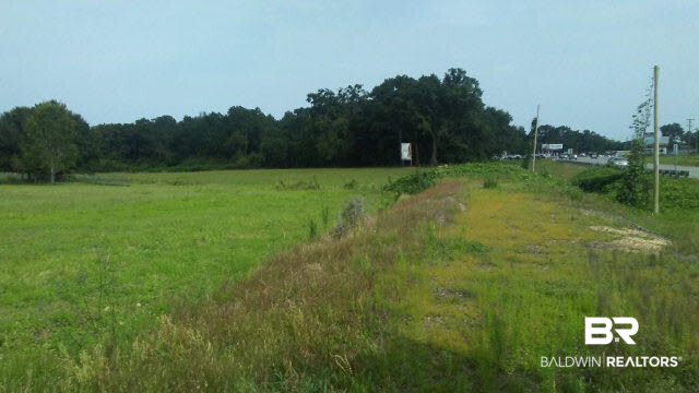 0 Kendrick Road Robertsdale, AL 36567 - Photo 5 of 8