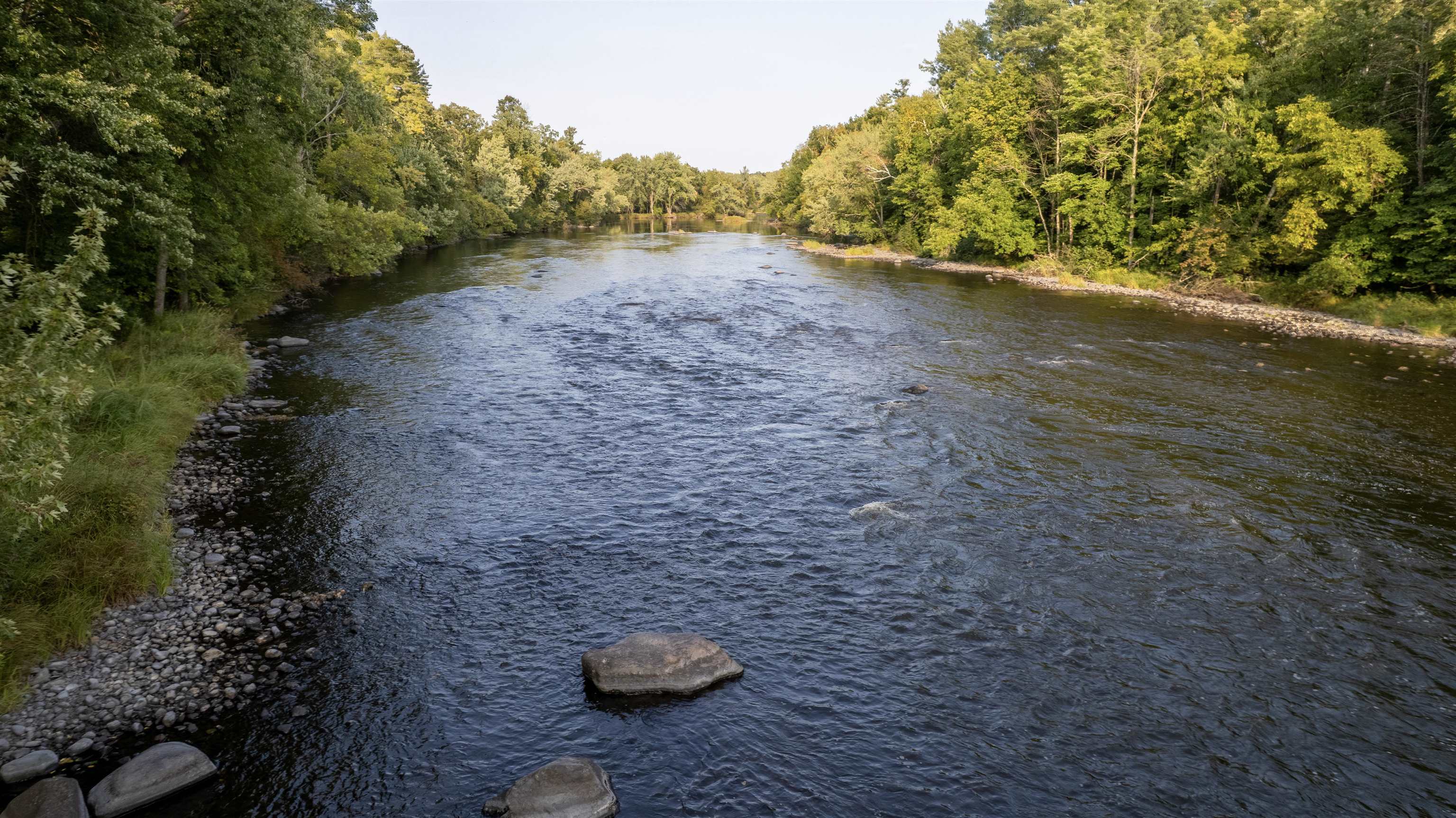 2454 N Highway 40 Radisson, WI 54867 - Photo 26 of 30