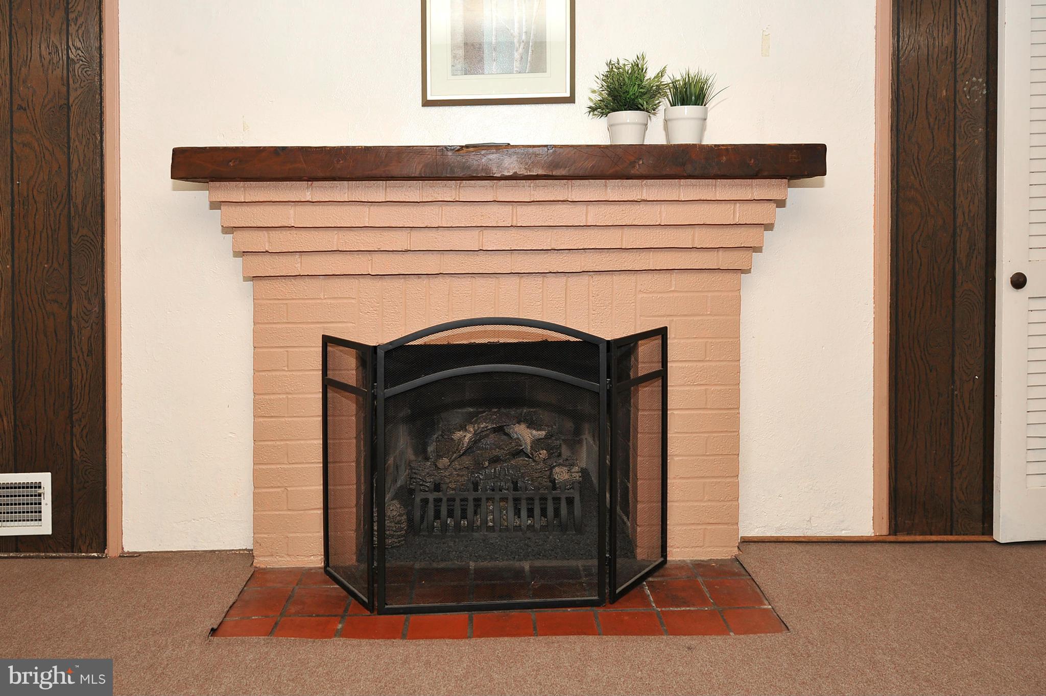 104 Indian Spring Drive Silver Spring, MD 20901 - Photo 21 of 30 Lower Level Fireplace
